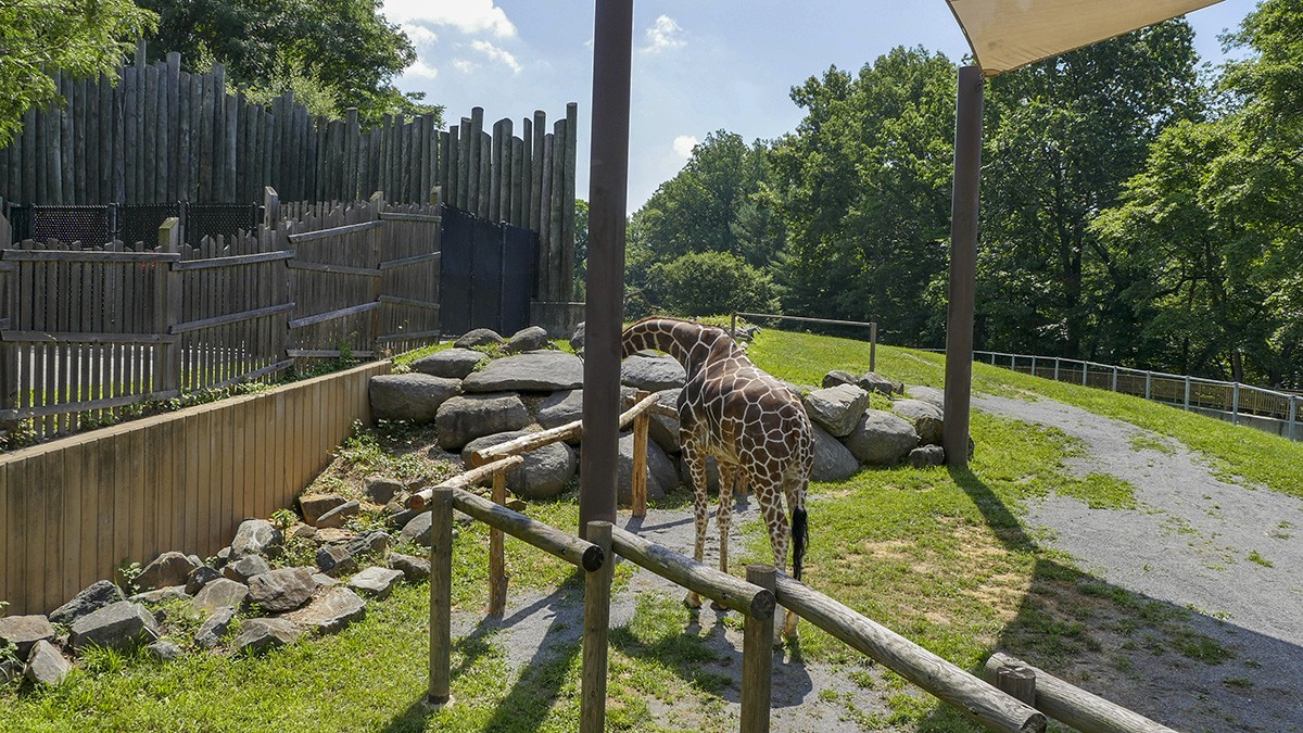 The Maryland Zoo in Baltimore TCLF