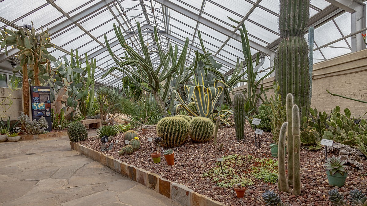 Howard Peters Rawlings Conservatory & Botanic Gardens