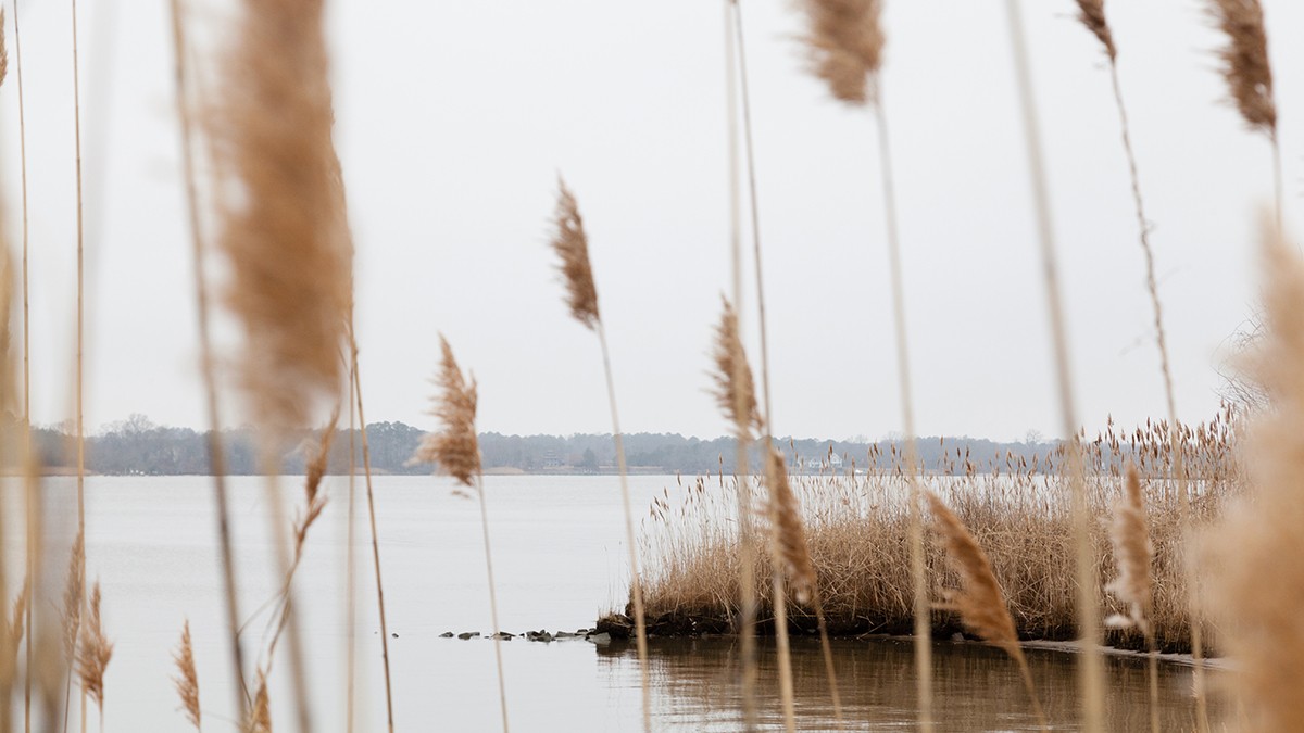 BLACK RIVER WILDLIFE REFUGE visual data 7