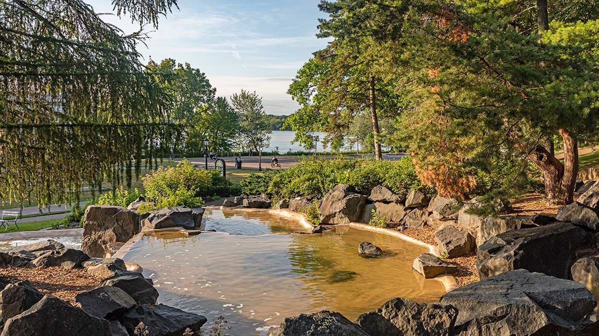 Design Visioning: City of Saint Paul Como Lakeside Pavilion