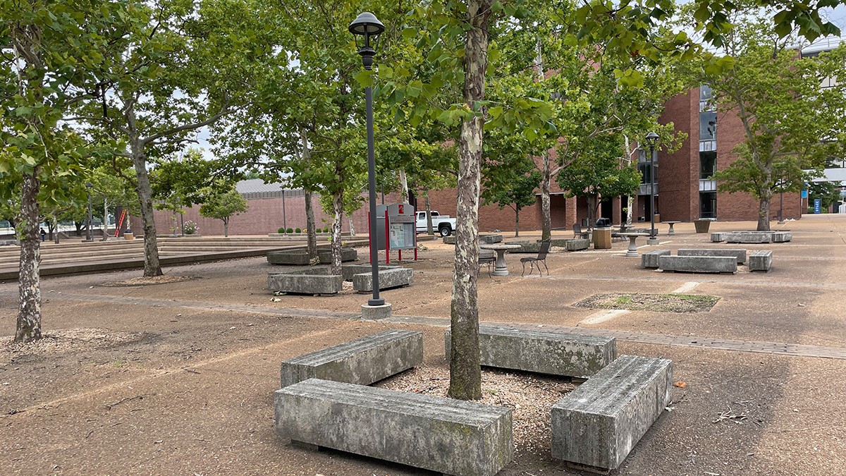 Forest park community college tclf