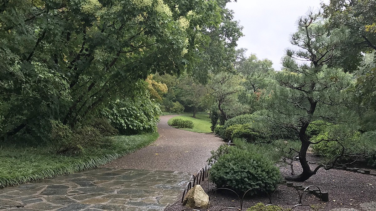 Missouri Botanical Garden - Japanese Garden | TCLF