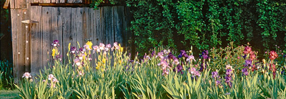 MargaretThomasIrisGarden_feature_01_RogerFoley_2011.jpg Margaret Thomas' Garden