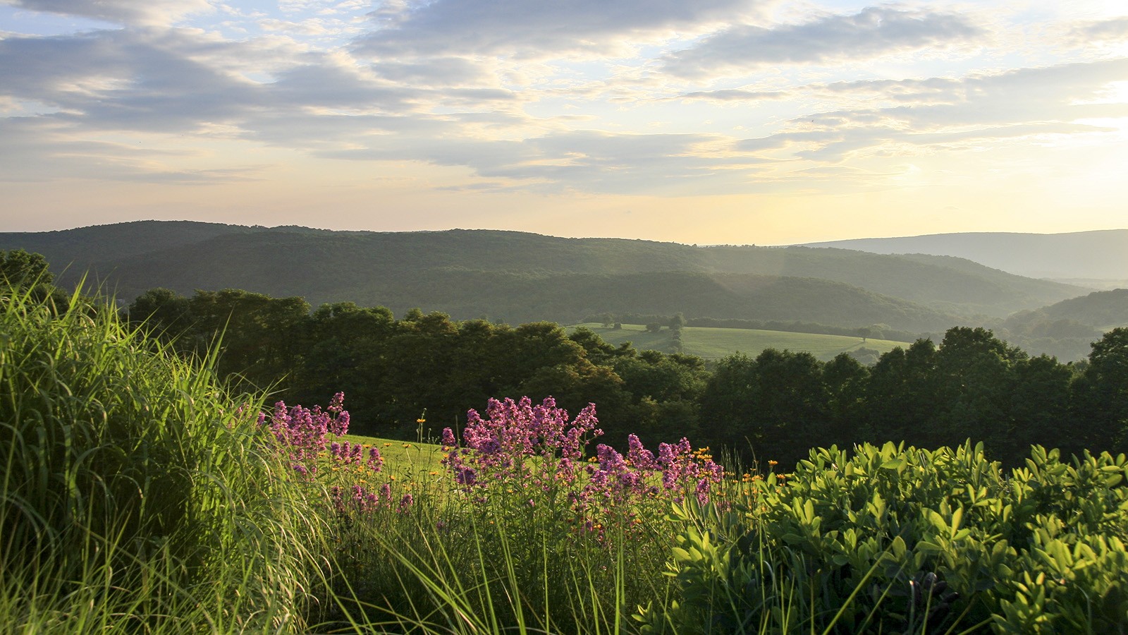 MillertonNY_signature_LarryWeaner_GardenDialogues_CourtesyOfLarryWeaner_2015_01.jpg Millerton Estate. Photo courtesy of Larry Weaner
