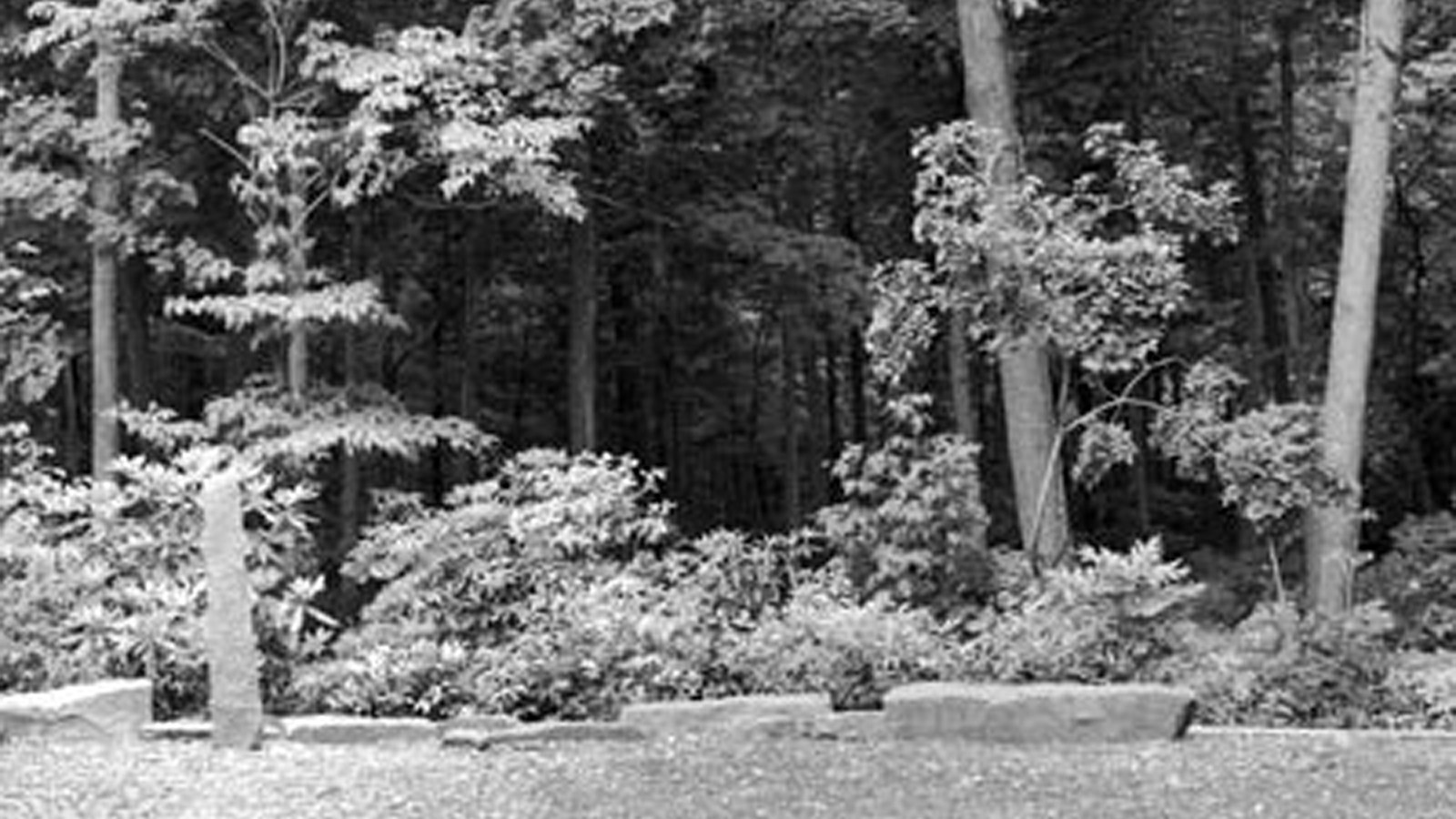 MontgomeryResidence_feature_courtesyPennStateLADepartment_08.jpg Montgomery Residence, New Hope, PA