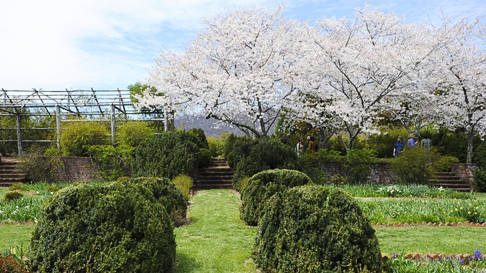 The gardens at Morven near Charlottesville, designed in part by Annette Hoyt Flanders