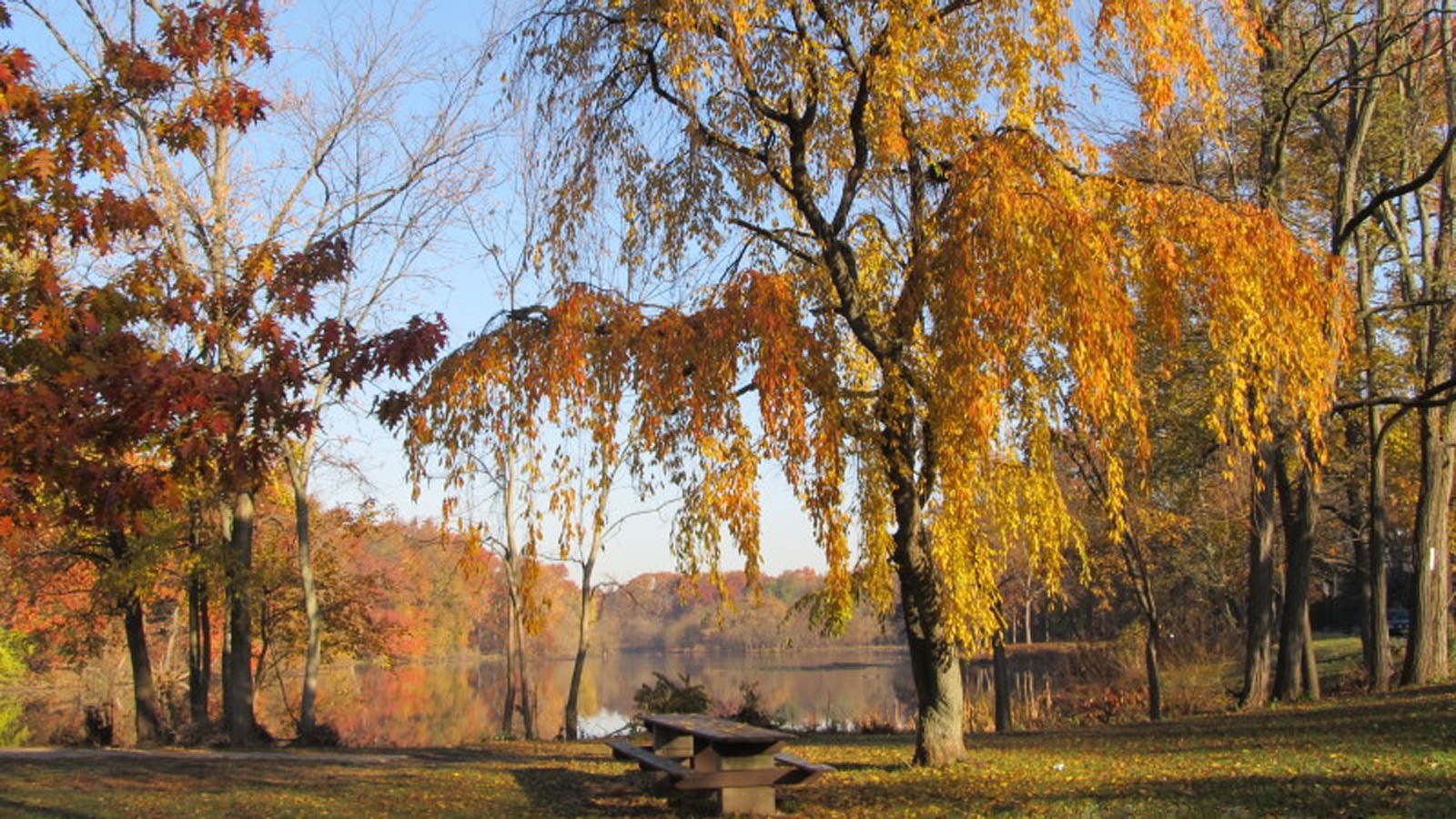 Rahway River Park, designed by Olmsted Brothers - Photo courtesy of The Coalition to Save Historic Rahway River Park, 2015