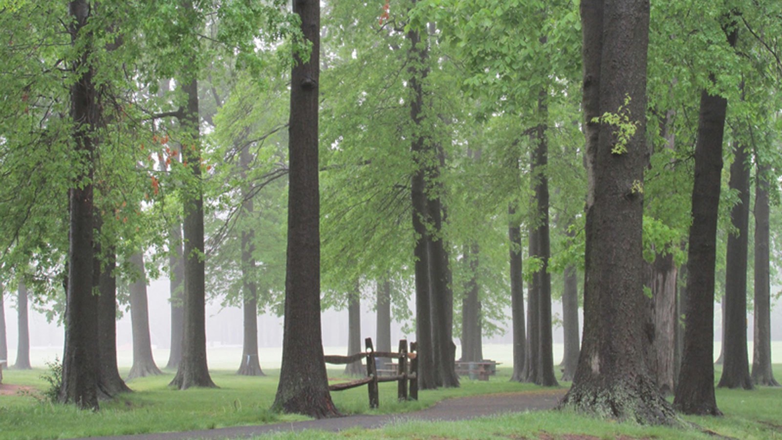 NJ_Clark_RahwayRiverPark_feature_02_CourtesyCoalitiontoSaveHRRP_2015.jpg Rahway River Park walking trails, designed by Olmsted Brothers - Photo courtesy of The Coalition to Save Historic Rahway River Park, 2015