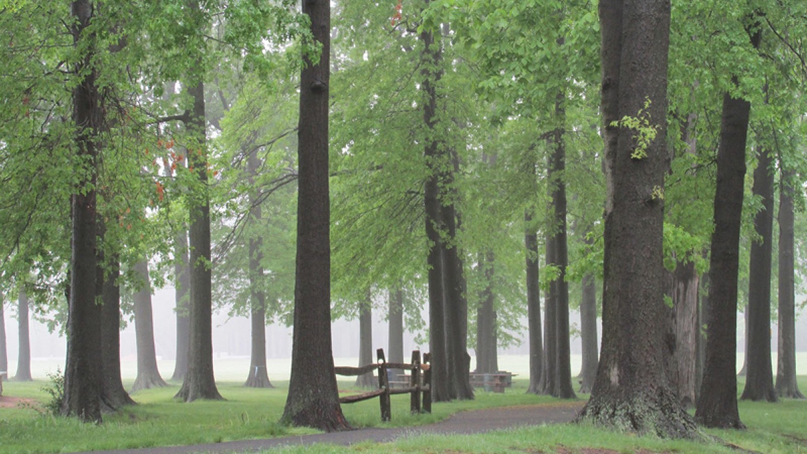 Rahway River Park walking trails, designed by Olmsted Brothers - Photo courtesy of The Coalition to Save Historic Rahway River Park, 2015