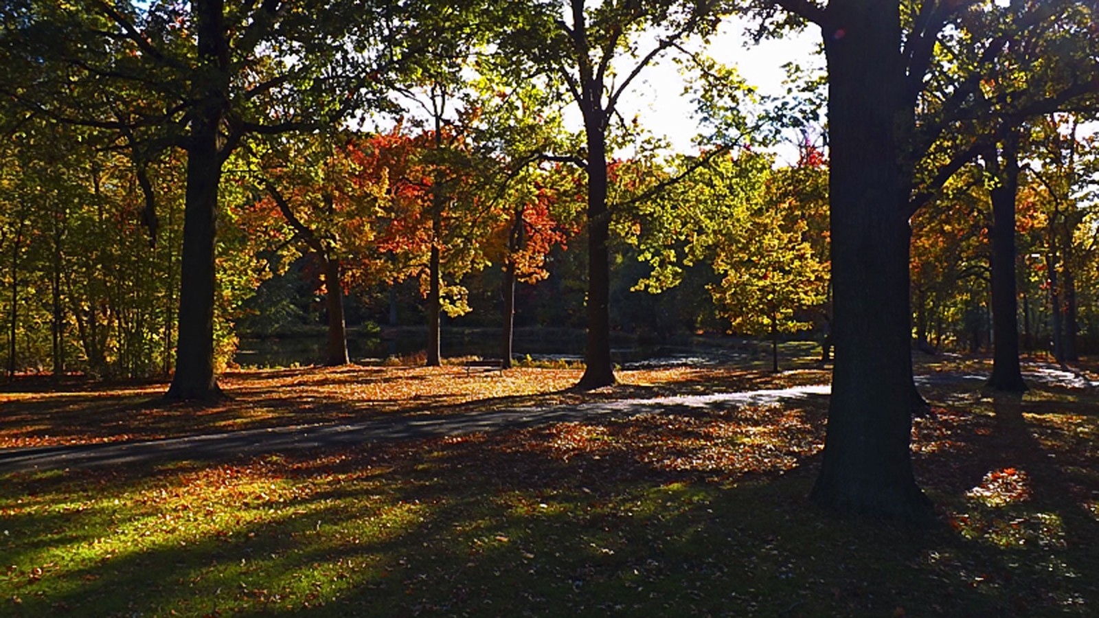 Rahway River Park, designed by Olmsted Brothers