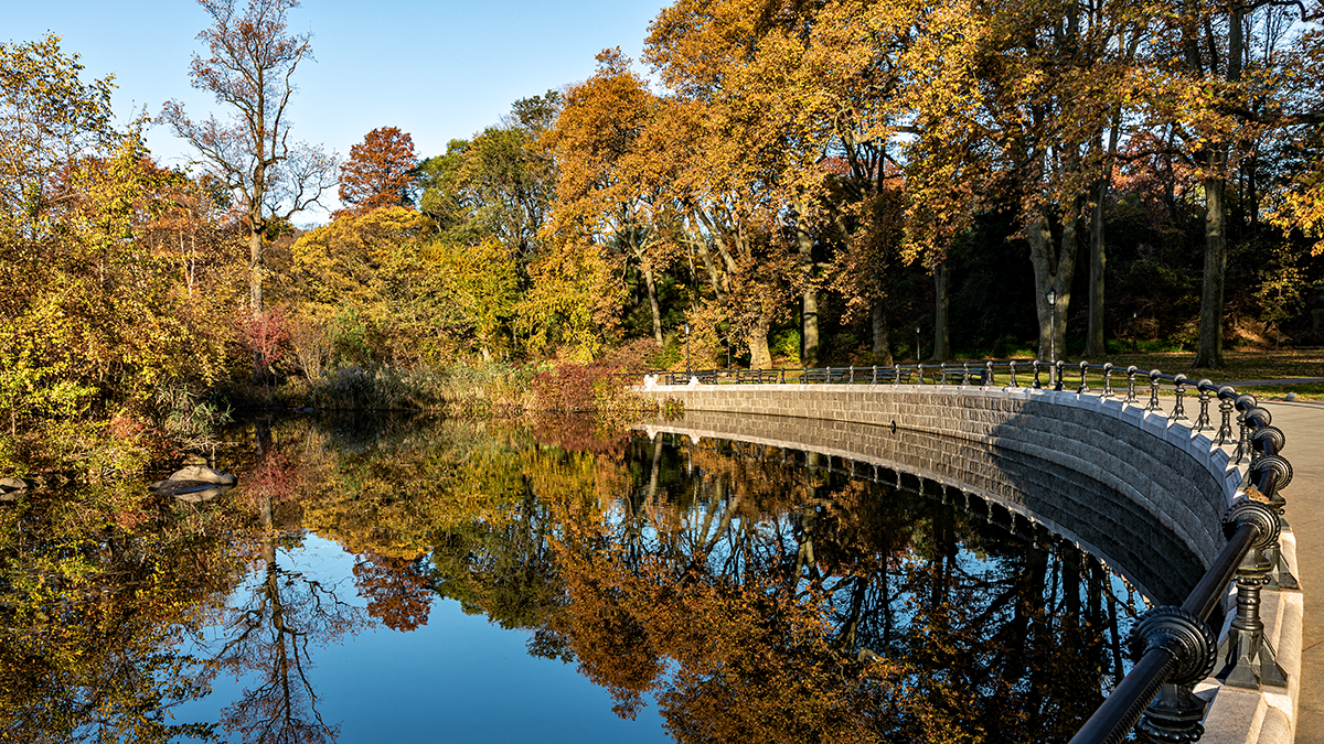 Prospect Park | TCLF