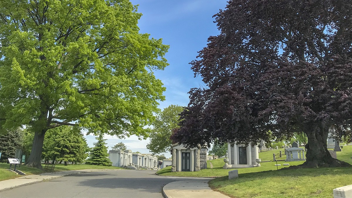 The Evergreens Cemetery NY TCLF