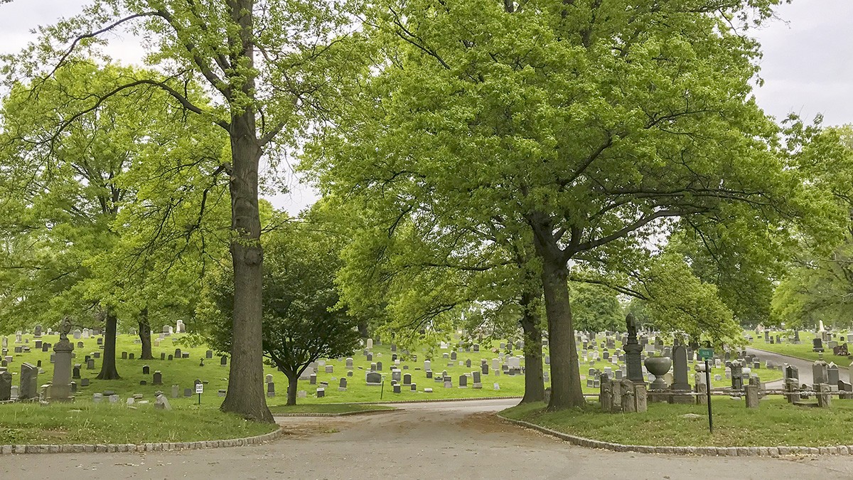 The Evergreens Cemetery NY TCLF