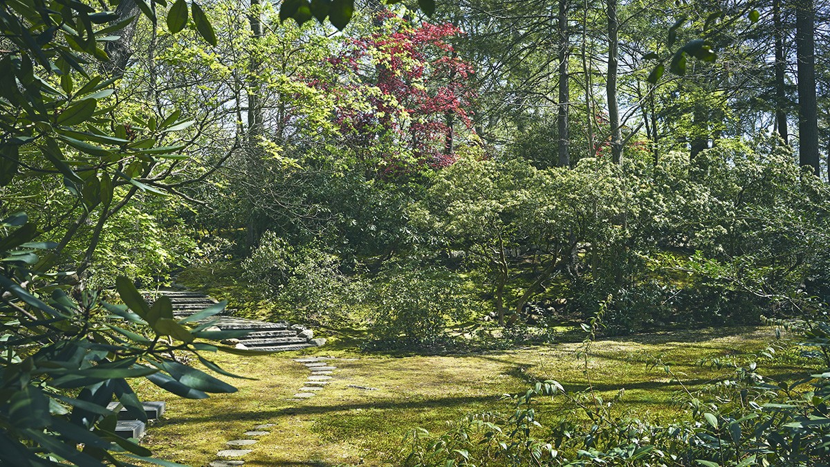 Locust Valley Cemetery TCLF