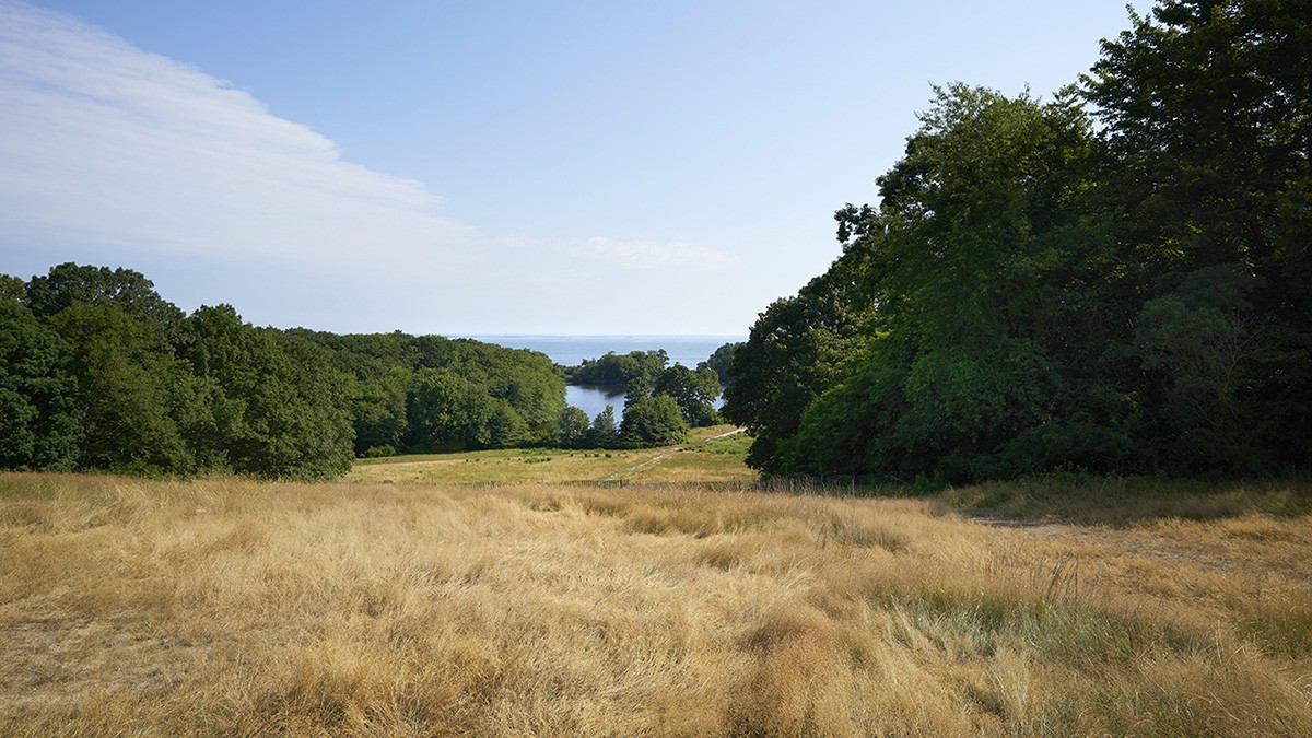 Caumsett Historic State Park Preserve Tclf