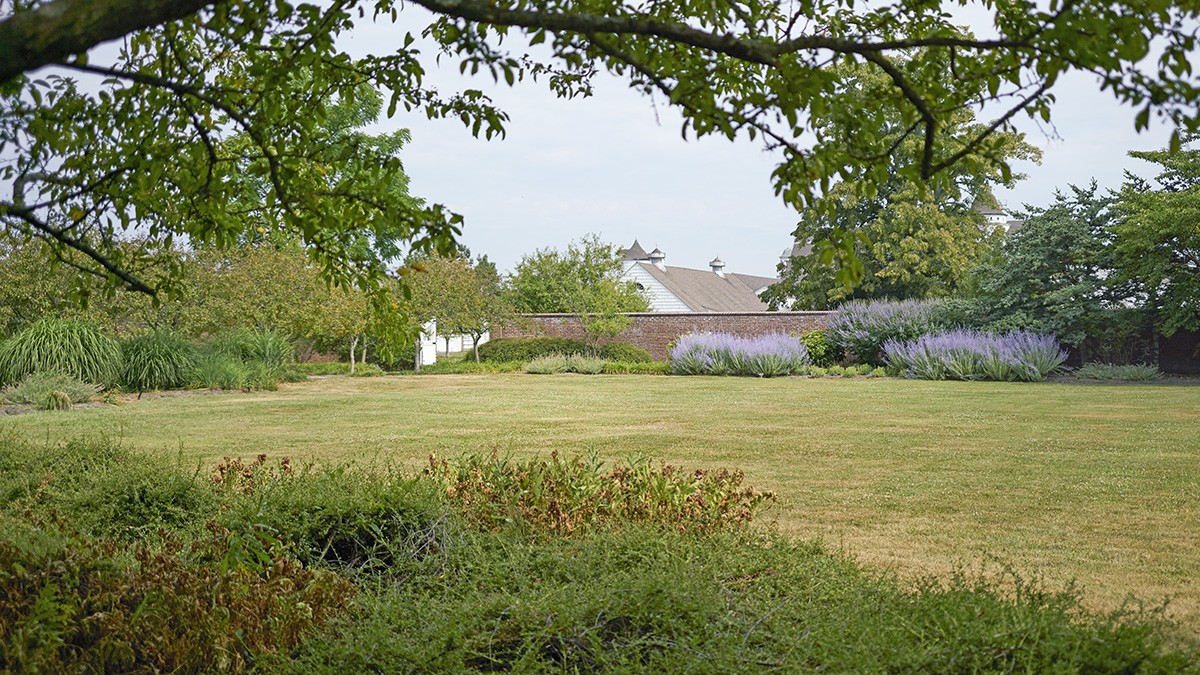 Caumsett Historic State Park Preserve Tclf