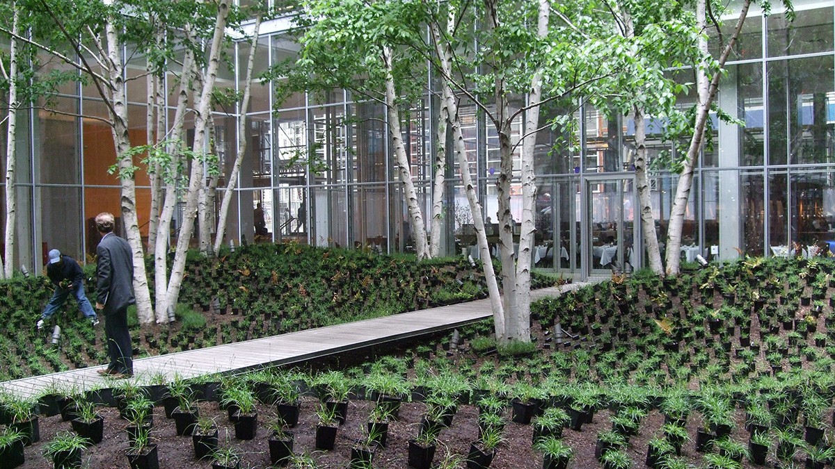 New York Times Building Lobby Garden | TCLF