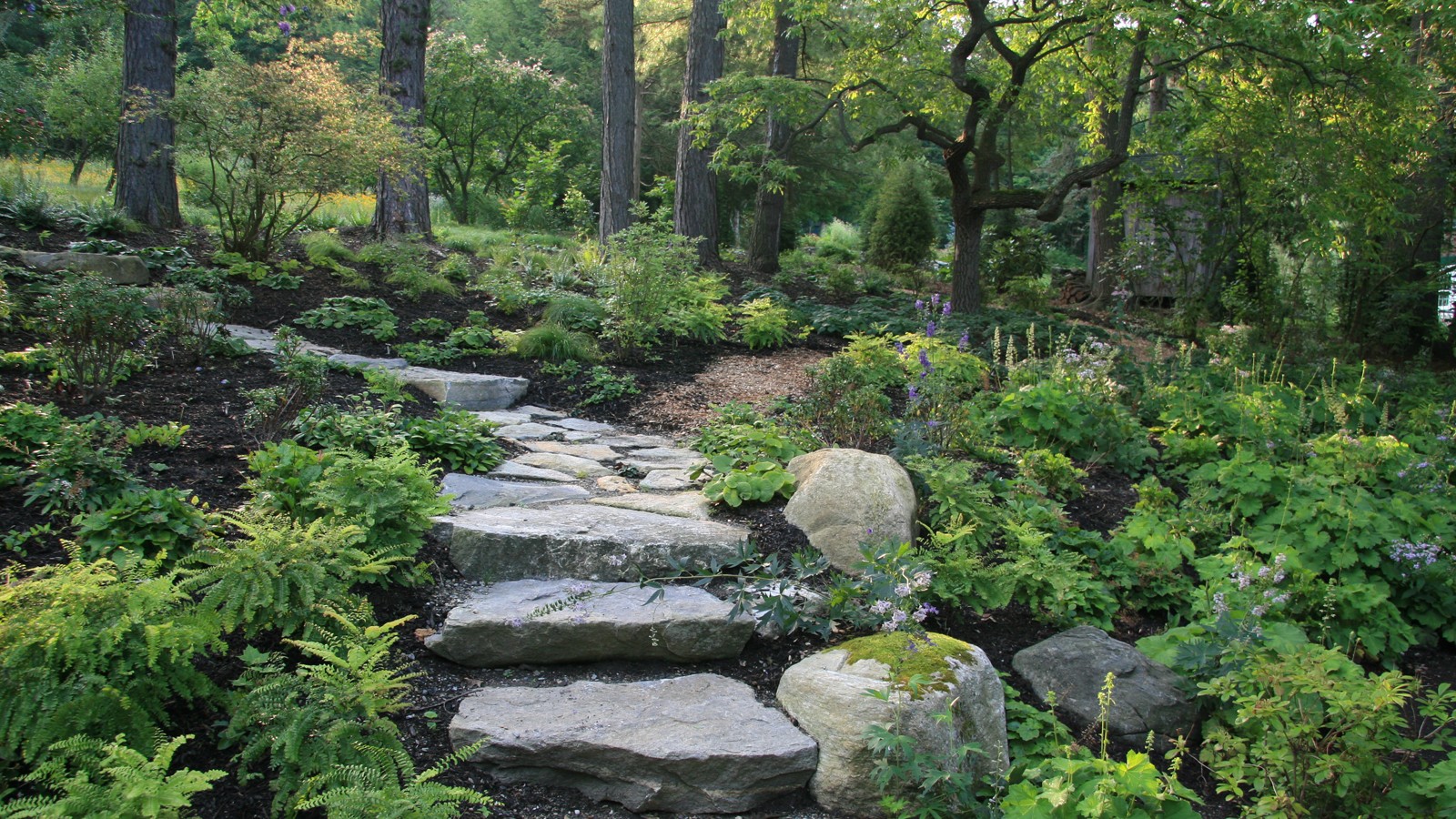NativeWildflowerMeadowWoodlandGarden_signature_courtesyLarryWeanerLA_2014_01.jpg Photo courtesy Larry Weaner Landscape Associates, 2014