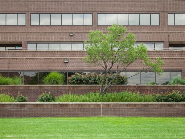 North Lakecollege