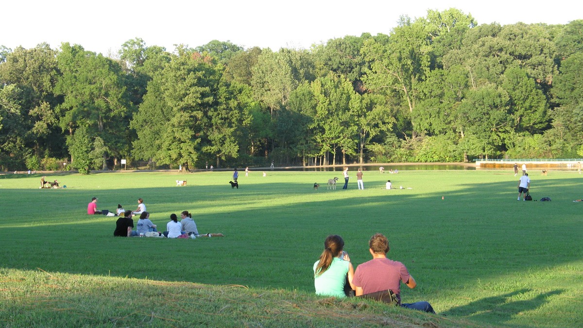 Greensward being used by visitors