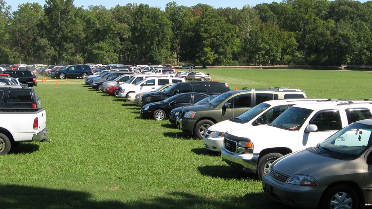 Greensward being used for overflow zoo parking