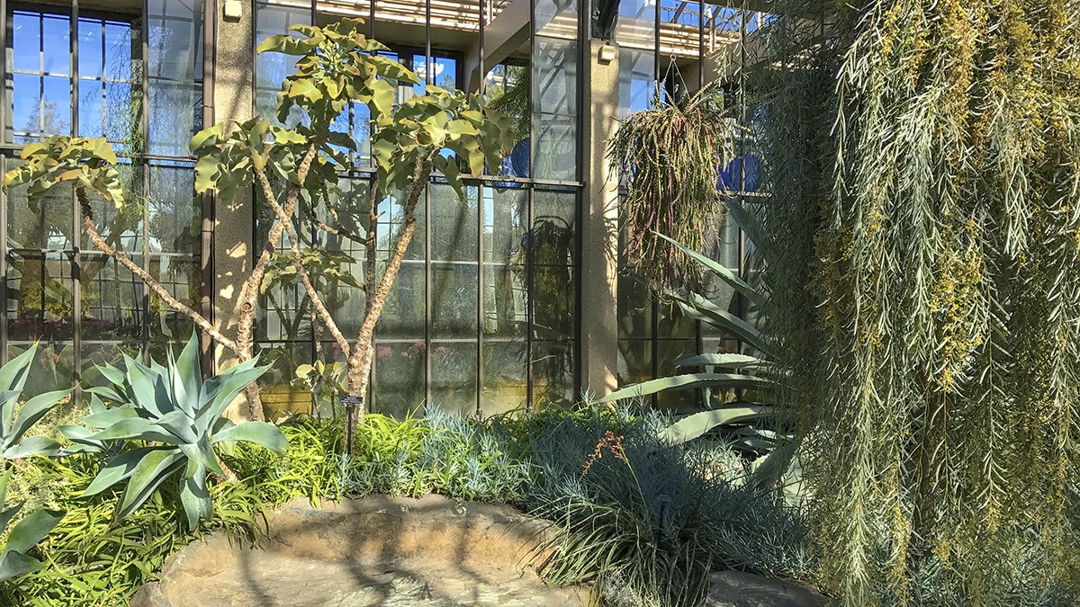 Longwood Gardens-Silver Garden | TCLF