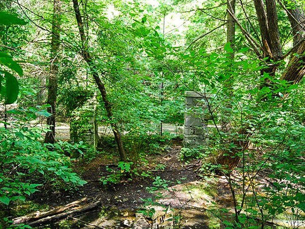 Park Drive Ravine | TCLF