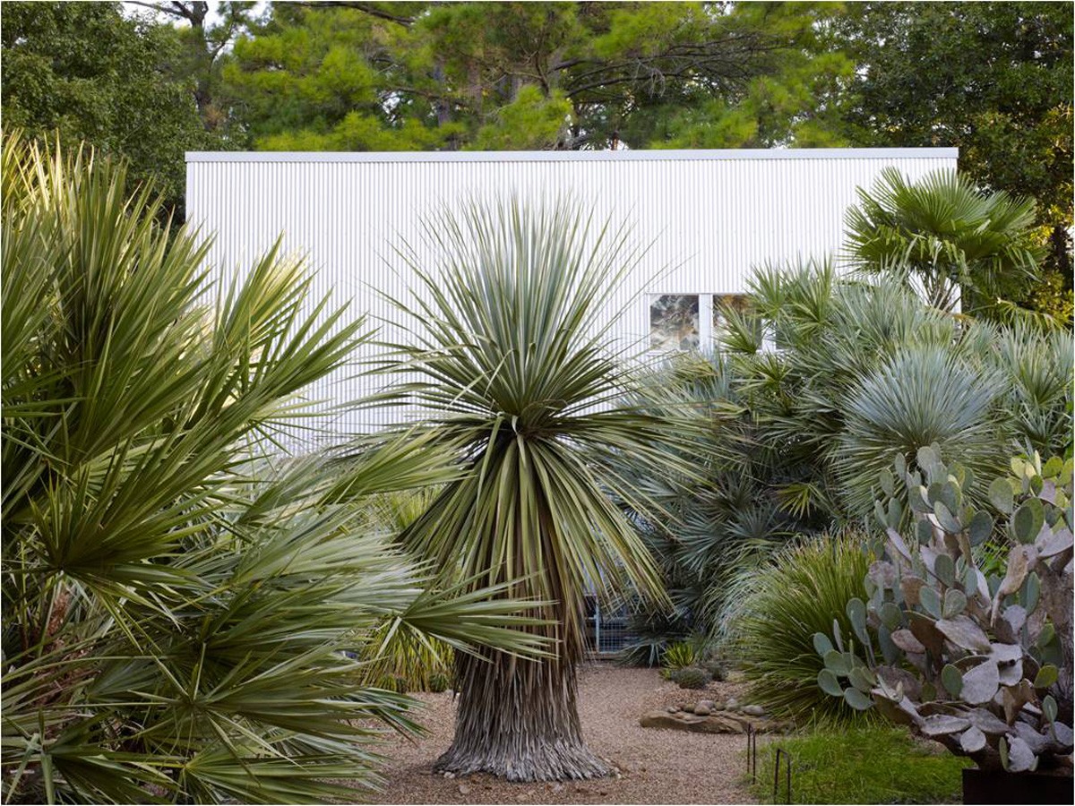 Dry Garden and Art Gallery