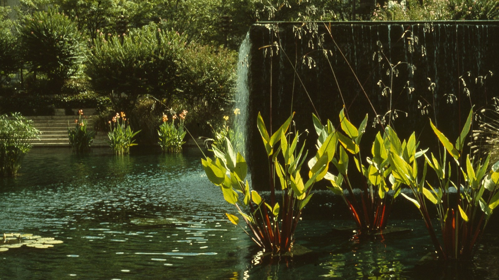 Pershing Park, Washington DC