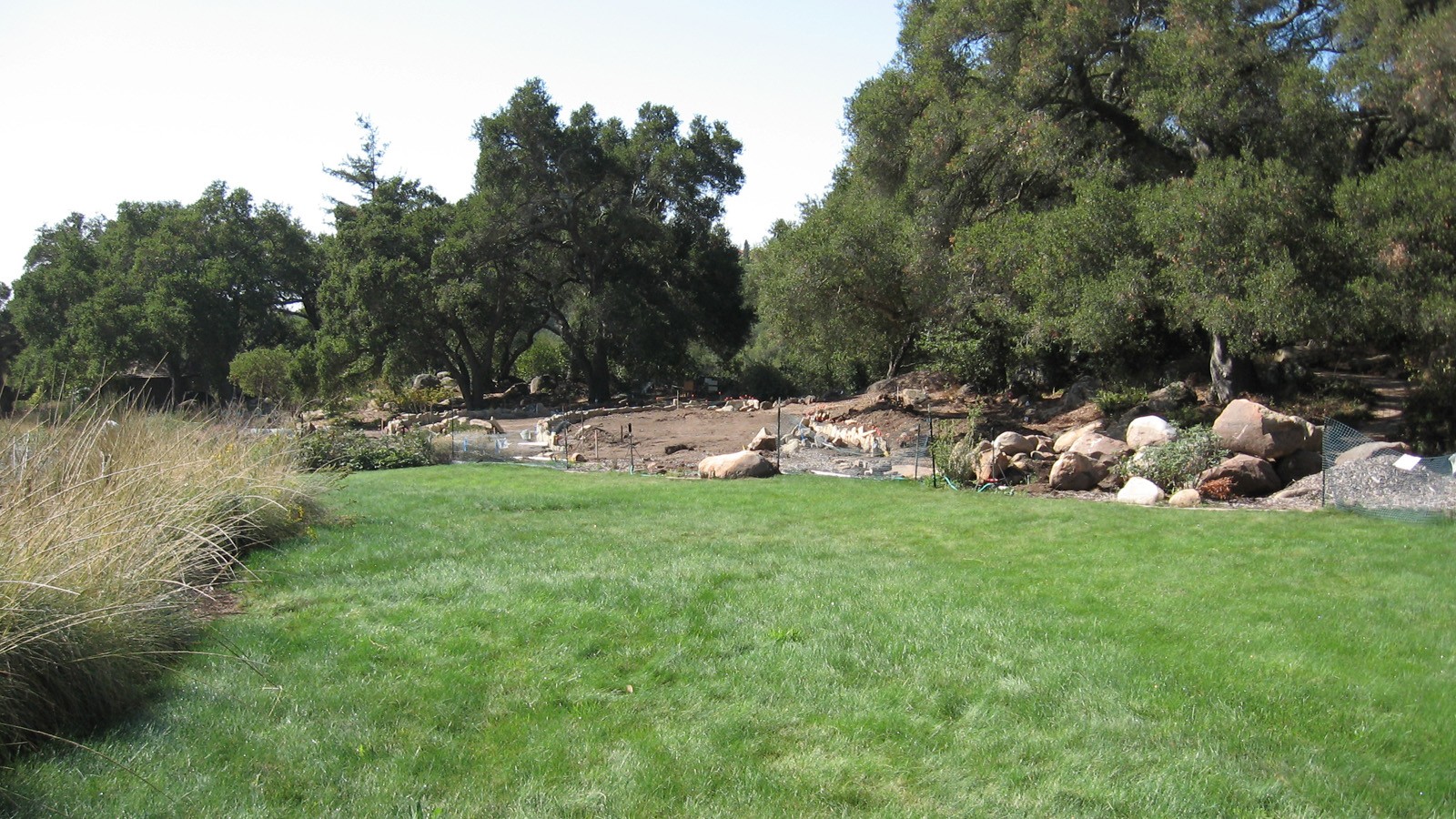 New lawn in the Meadow for special events and adjacent Meadow Terrace project under construction where an oak tree once stood.