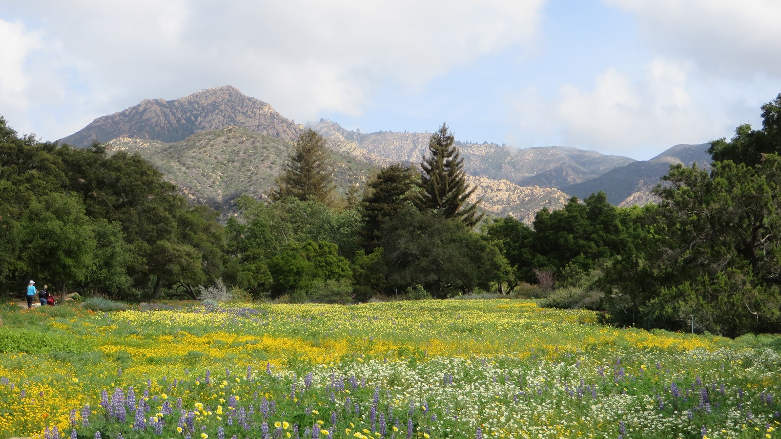 Santa Barbara Botanic Garden