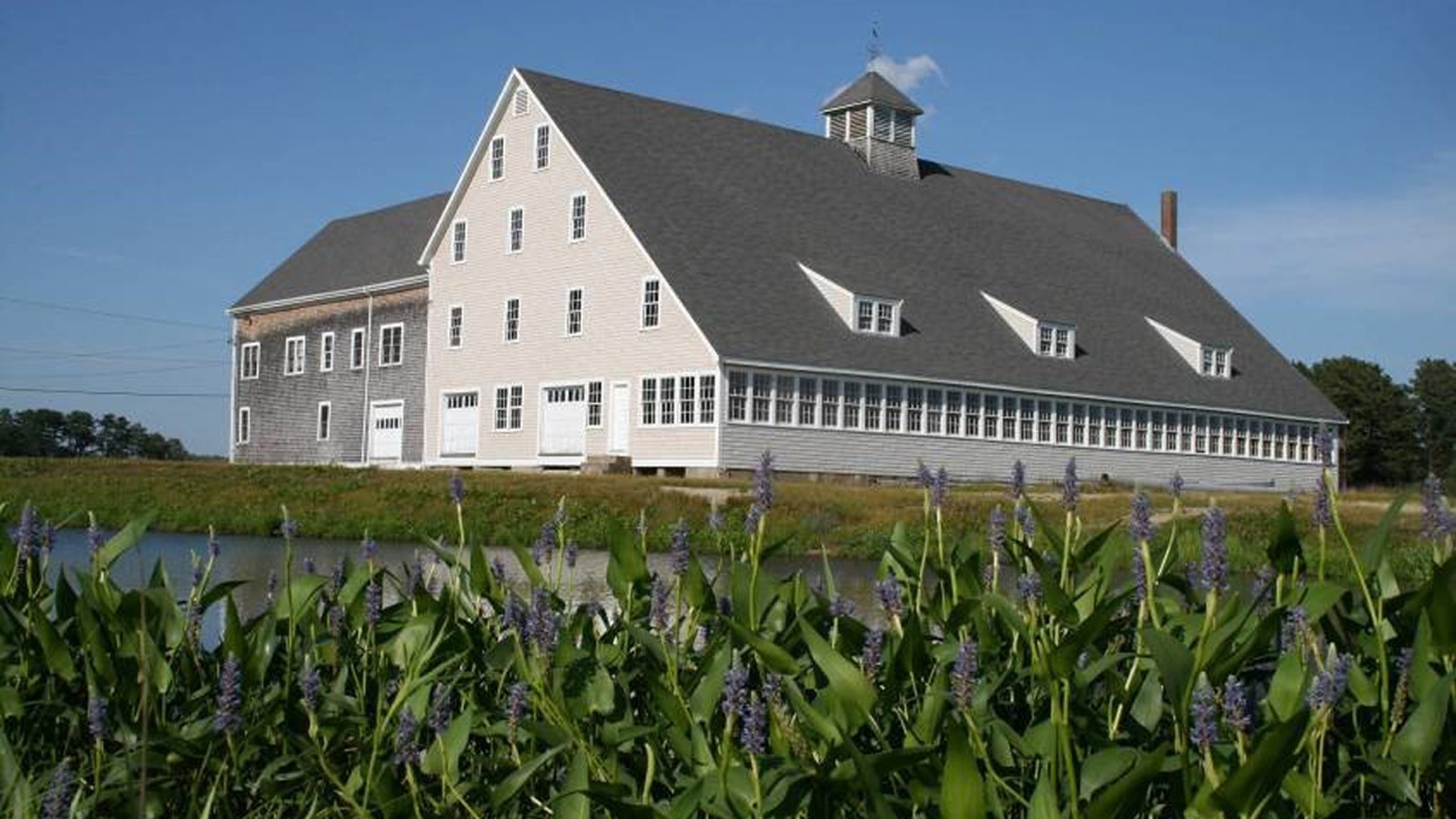 Screenhouses or boghouses are traditionally where postharvest handling of fresh cranberries takes place - Photo courtesy Duncan Hilchey