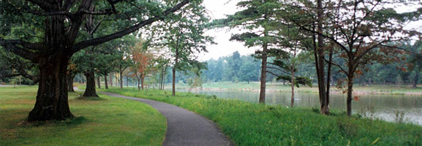SenecaPark-banner-1600.jpg