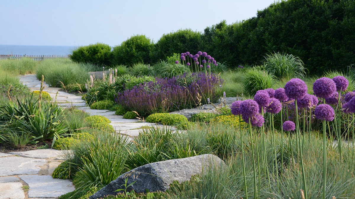 Slifka Beach House Garden, Sagaponack, NY