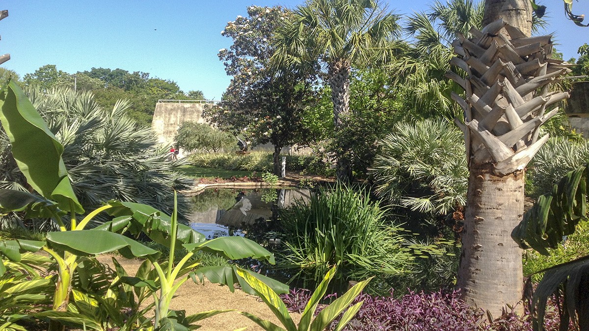 San Antonio Botanical Garden TCLF
