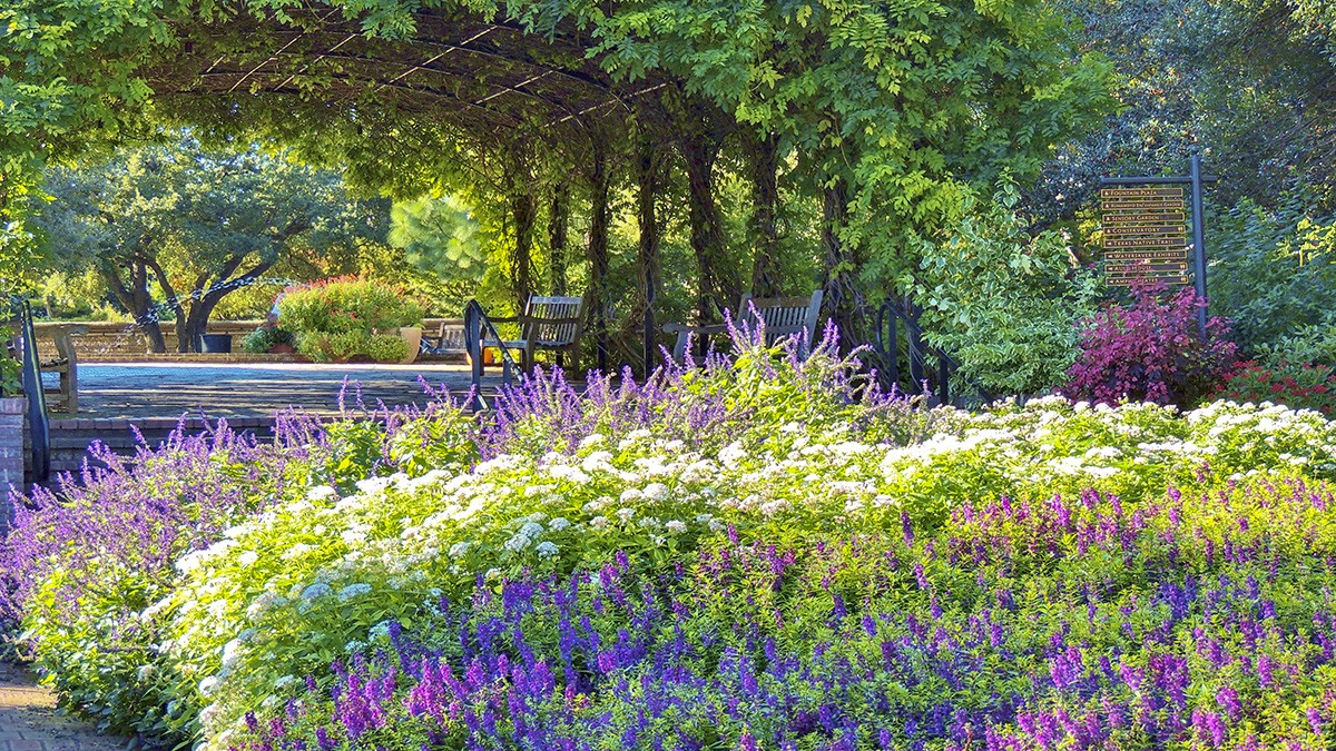 San Antonio Botanical Garden | TCLF