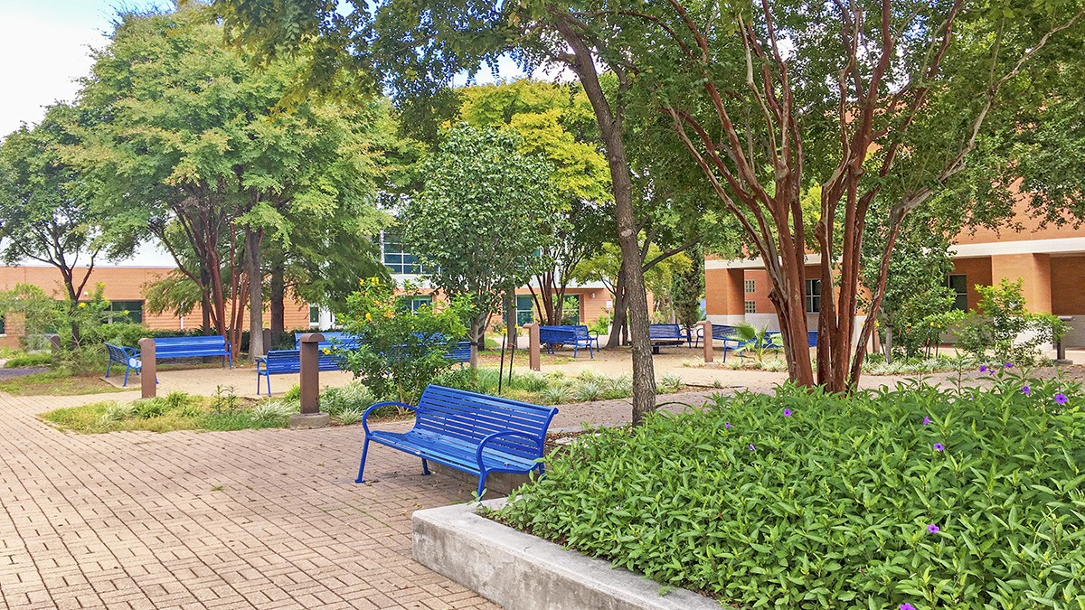 St. Philip's College TCLF