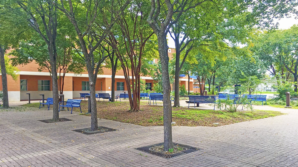 St. Philip's College TCLF