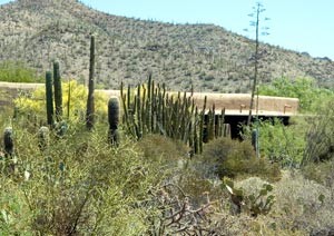 Sonora Desert Museum, Tucson, AZ