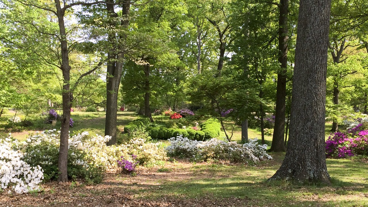 Joseph Bryan Park TCLF