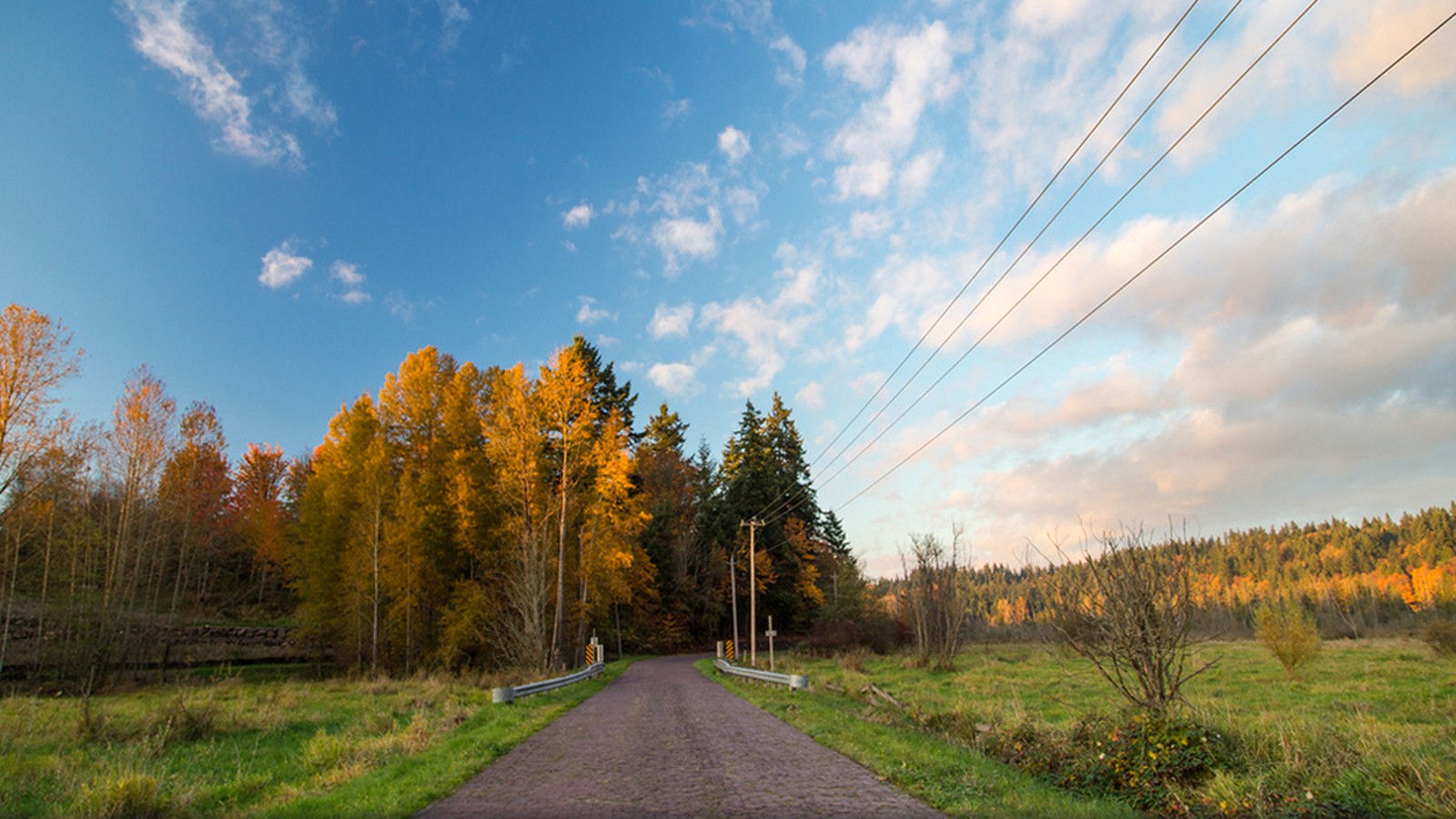 WA_Redmond_TheOldRedBrickRd_feature_MaxFeingold_2013_02.jpg Old Red Brick Road, Redmond, Washington