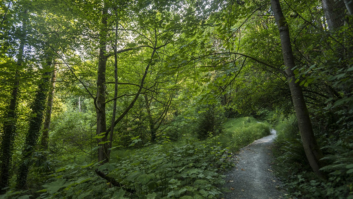 WA_Seattle_Frink Park_by TIA International Photography_Courtesy Seattle Parks_2015_SIG.jpg Frink Park, designed by Olmsted Brothers in 1908.