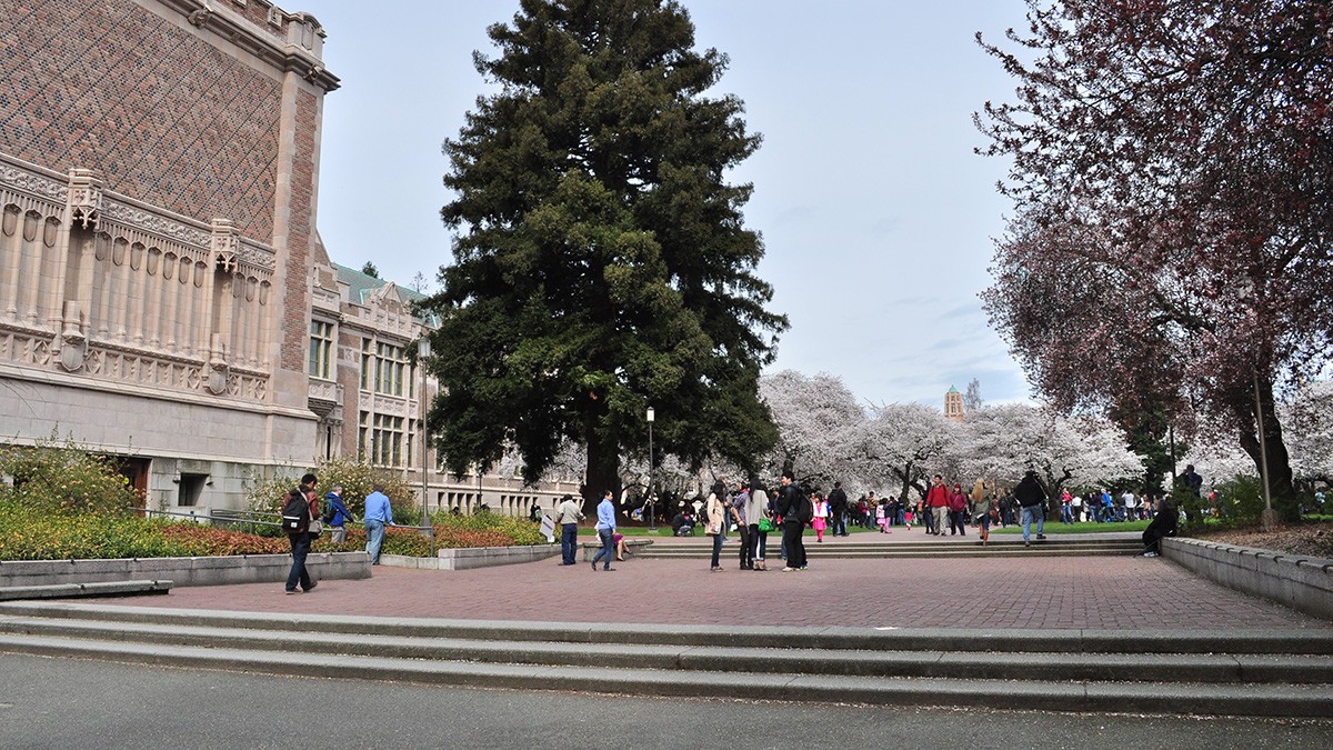application requirements for university of washington seattle