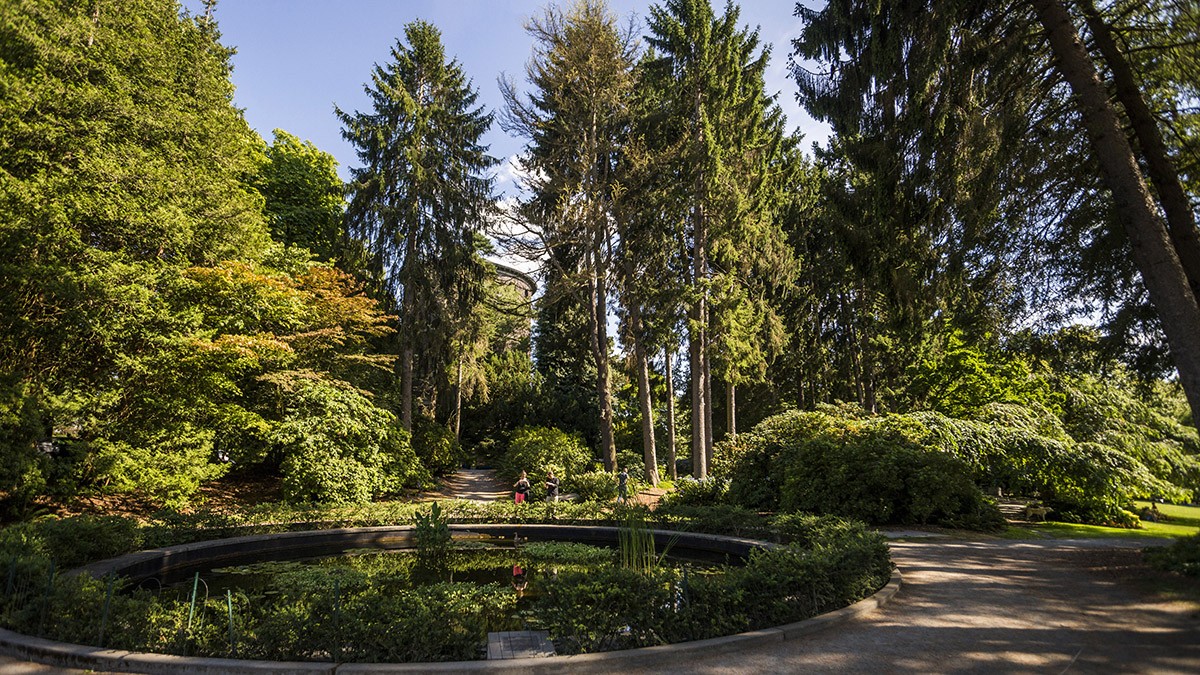 Volunteer Park, designed by Olmsted Brothers in 1904 and 1909