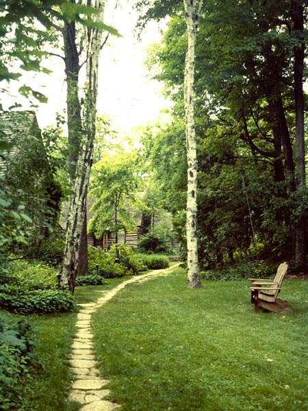 The Clearing