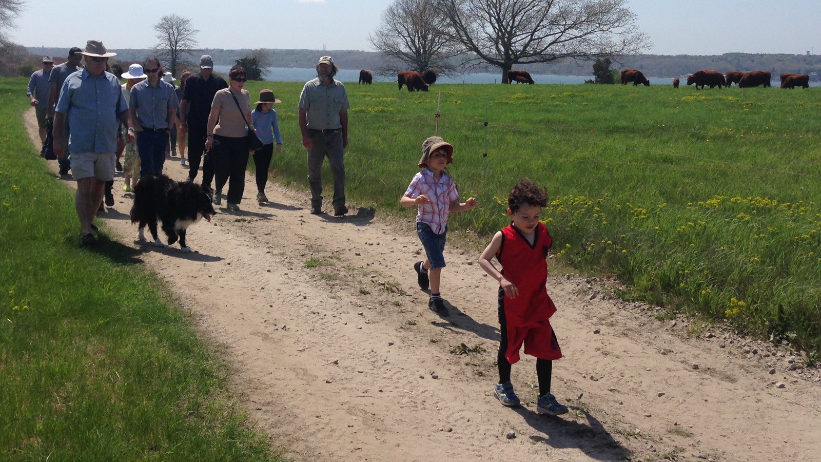 WOTW_Newport_WatsonFarm_feature_MaryEllenFlanagan_2015.jpg Watson Farm