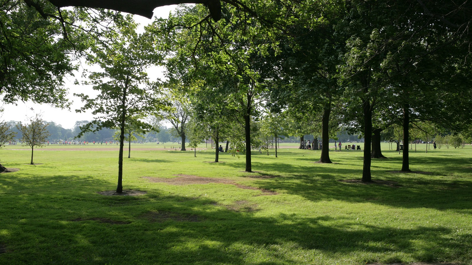 WashingtonPark_feature_copyrightLucasBlair_2009.jpg Washington Park, Chicago, IL