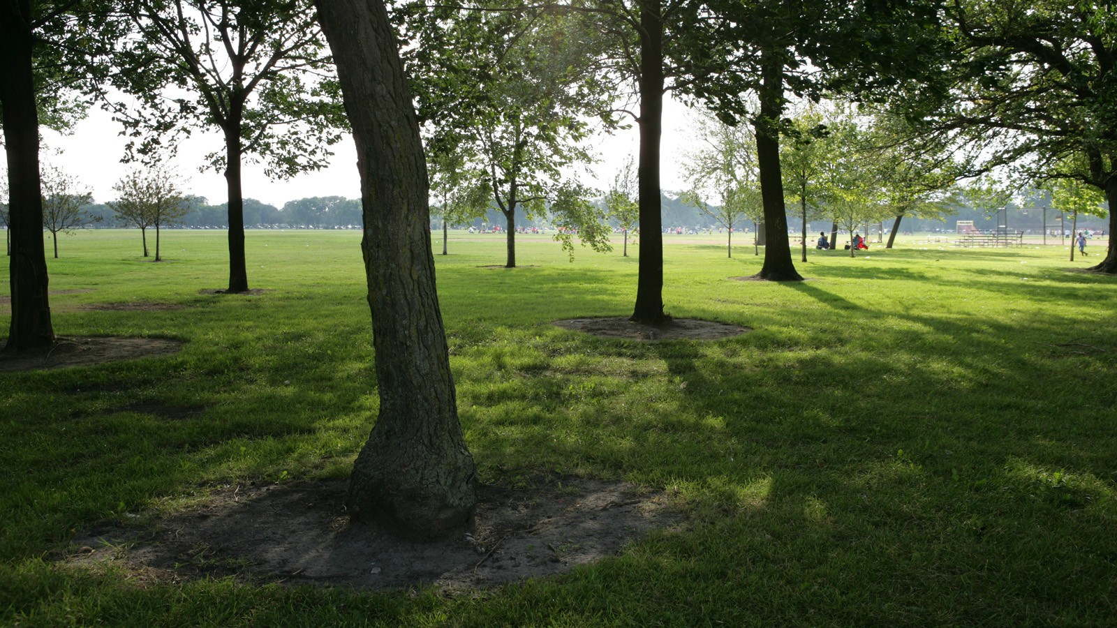 Washington Park, Chicago, IL