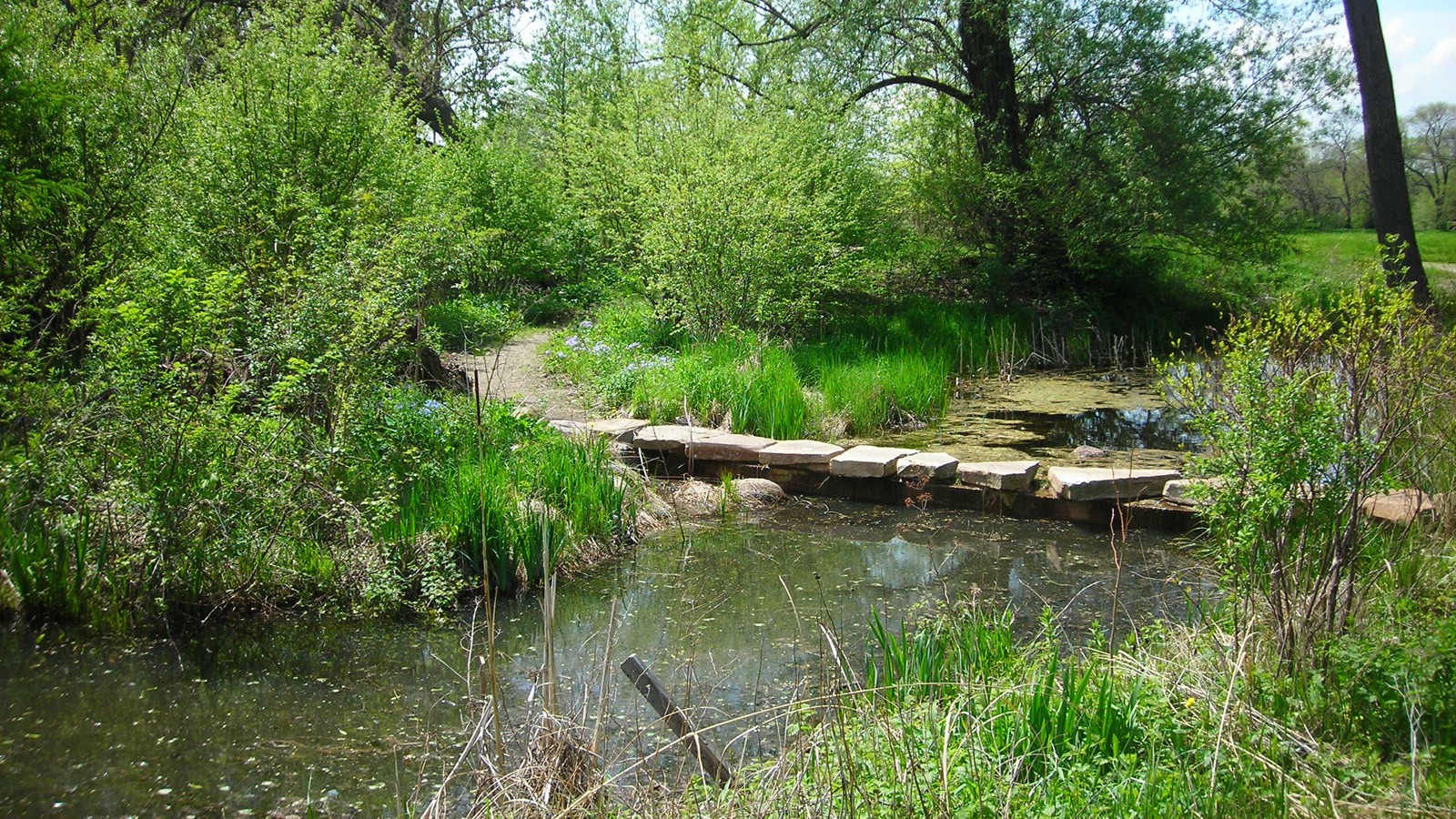 Washington Park, Chicago