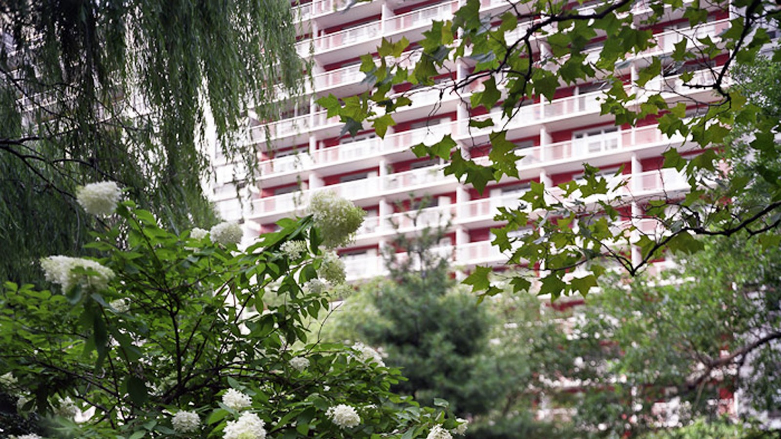 WashingtonSquareVillage_feature_HarryZernike_2009_02.jpg Photo © Harry Zernike